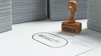 IBPS Clerk Prelims Result 2025: Key Updates & Insights