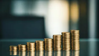 Bengaluru CA's Bold Journey: From High-Paying Job to Entrepreneurship