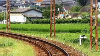 Five Overvisited Japan Spots With Less Crowded Alternatives Nearby