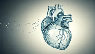 Dizzy When Standing? Cardiologist Explains Blood Pressure & Hydration Clues