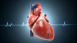 Managing Stress: A Guide to Heart Health in India