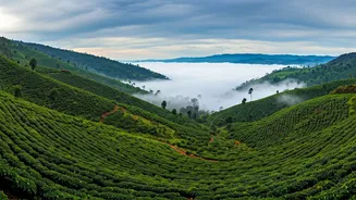 Book Peaceful Weekend Retreats In Misty Valleys Of Araku