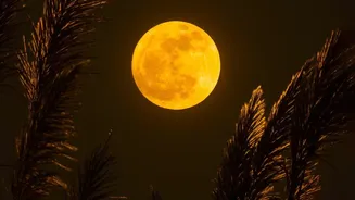 How To Plan A September Stargazing Night Around Venus And The Harvest Moon