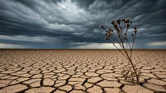 Monsoon Watch Is Delhi's Latest Daily Task