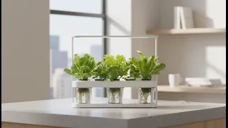 How To Pick The Best Starter Hydroponic Pod Kit For Compact Urban Studio Flats