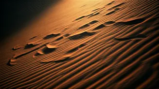 Tamil Nadu's Shifting Sands: Decoding the Intriguing Electoral Dynamics