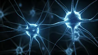 The Contagious Connection: Why One Yawn Triggers Another