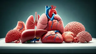 January 13, 2026: Daily Health Insights for Zodiacs