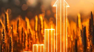 Reading Maturity Dates And Yield Information: Indian Sustainable Agriculture Bonds In Focus