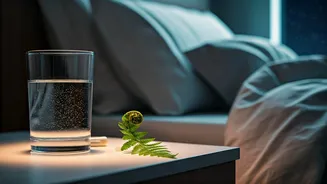 Unlock Better Sleep: The Science and Secrets of Magnesium