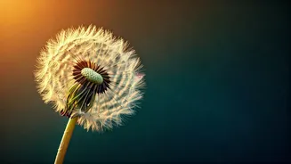 Navigating Modern Romance: The 'Delulu' Dating Trend Explained