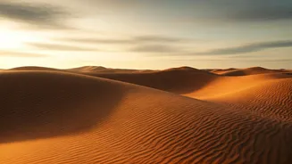 Brief Rain Makes Golden Desert Views Softer