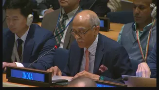 'UNSC Reform Cannot Remain Hostage To Interests Of A Few': India At UN