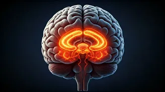 Sleep Deprivation: How Your Body Fights Back