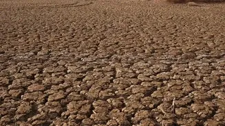Why A Weaker Monsoon Can Put Pressure On Food Prices