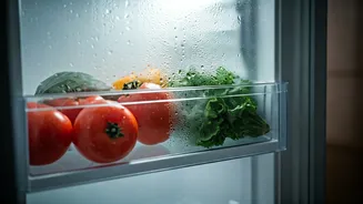 Refrigerate Early, Avoid Monsoon Stomach Trouble