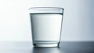 Unveiling Cornstarch Water's Life-Sustaining Role