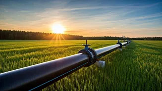 Baga's Water Woes: New Pipeline Promises Relief for Goa Residents
