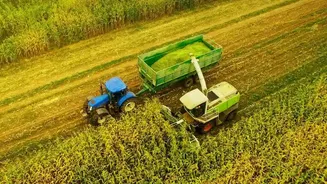 India's Three Growing Seasons Puts Zaid Timing Beside Kharif Timing
