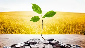 Mutual Fund ELSS vs PPF Tax-Saving Investment Guide For First-Time Taxpayers