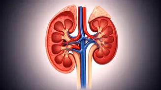 5 Kidney Threats: Cardiologist's Urgent Warnings