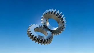 India and New Zealand: A New Trade Deal