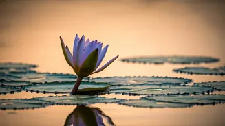 Mastering Self-Love: Healing After a Breakup