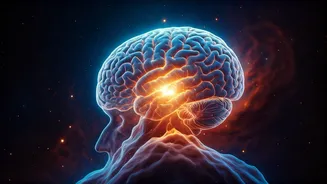 James Webb Telescope Decodes 'Exposed Cranium Nebula': A Stellar Brain Revealed