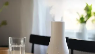 The Monsoon Decor Shift: A Practical Look At Humidity-Ready Materials