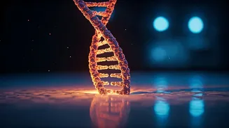 University Of Minnesota Team Creates Man-Made DNA Cell