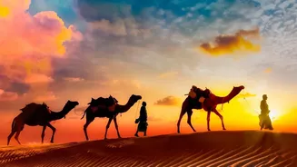 Rajasthan's Current Monsoon Travel Surge Makes Nature Travel Beyond The Desert Image More Relevant