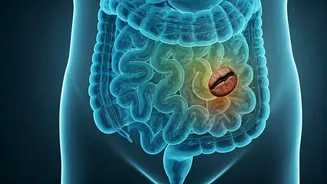 Caffeine and Your Gut: Why it's a Bad Habit