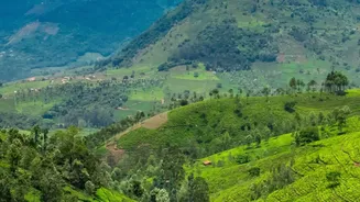 How High-Altitude Dark-Sky Conservation Efforts In Himachal Villages Drive Unique Astrotourism Outings