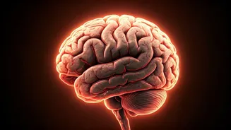 Boost Brainpower with These Top 10 Foods.