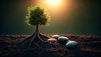 Related Stories banner