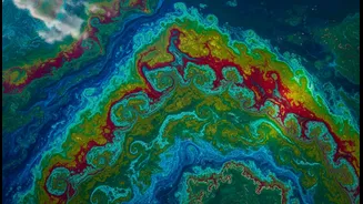 Algal Blooms Have Entered The Visual Science Feed