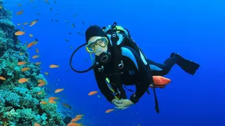 How Lakshadweep Enforces Eco-Friendly Travel Rules To Shield Fragile Coral Reefs From Scuba Divers