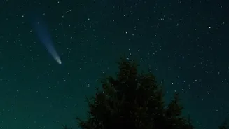 The 2026 Perseids Bring a Rare Combination of Peak Activity and Darkness