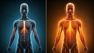 Heat Stroke vs. Heat Exhaustion: AIIMS Doctor Differentiates Key Symptoms and Prevention