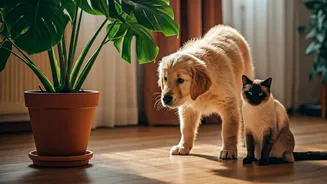Indoor Greenery Needs A Cat-Dog Safety Check