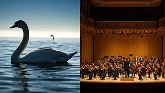 Swans or Orchestra? Your First Glance Reveals Your Relationship Style!