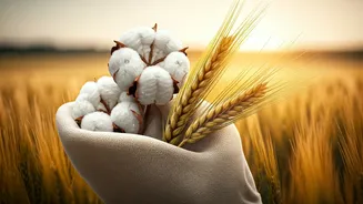 Fashion And Food Need Climate-Smart Thinking