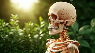 Ayurveda's Wisdom: Naturally Boost Bone Health & Immunity by Combating Vitamin D Deficiency