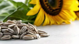 Beyond snack bowl: 5 uses of sunflower seeds