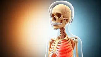 Rethinking Childhood Body Fat: New Study Unveils Lean Mass Gains Amidst BMI Shifts