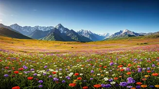 Craving Remote Treks Try Alpine Trails Of Uttarakhand Flowers