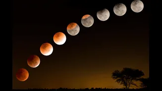 Will India Witness The Second Lunar Eclipse Of 2026? Check Chandra Grahan Date And Time