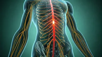 Unlock Your Nerves: Swami Ramdev's Yoga & Ayurveda for Crisis Prevention