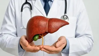 Lower protein intake may slow liver tumour growth in damaged livers, says study published in Science Advances
