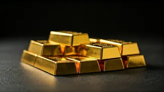 IPO Bonanza: Five Offerings to Watch This Week